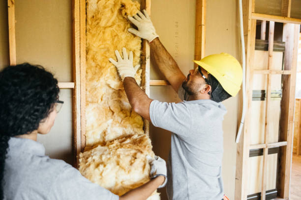 Eco-Friendly or Green Insulation Solutions in Ringgold, LA